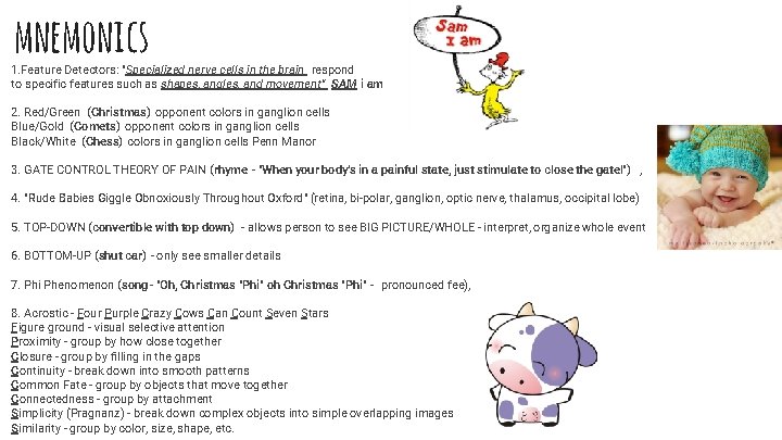 mnemonics 1. Feature Detectors: "Specialized nerve cells in the brain respond to specific features