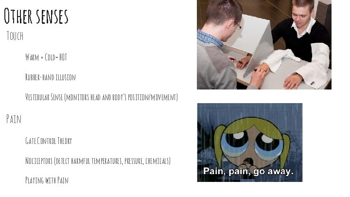 Other senses Touch Warm + Cold= HOT Rubber-hand illusion Vestibular Sense (monitors head and