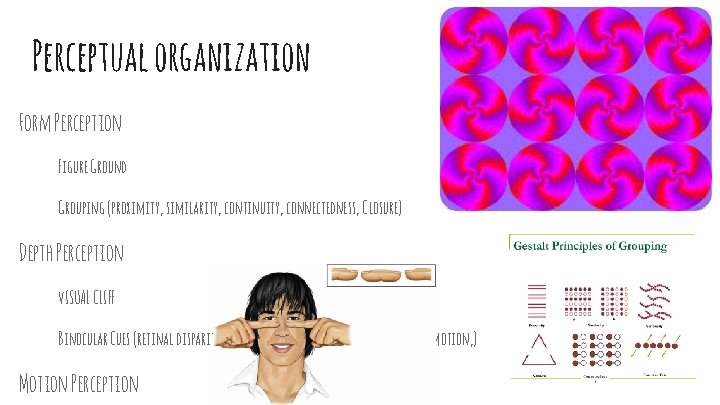 Perceptual organization Form Perception Figure Ground Grouping (proximity, similarity, continuity, connectedness, Closure) Depth Perception