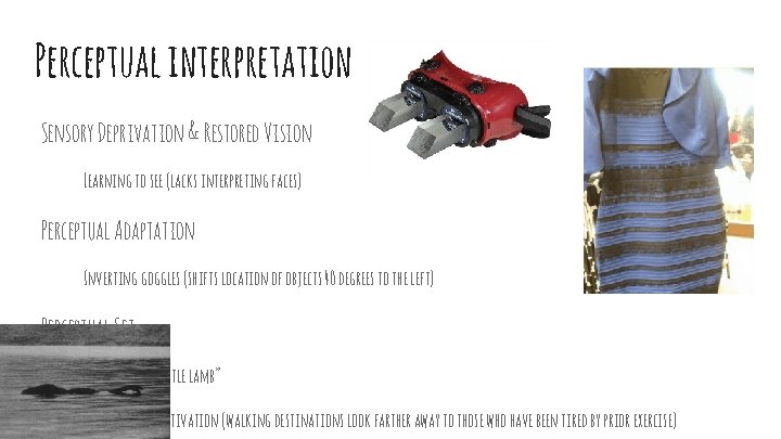 Perceptual interpretation Sensory Deprivation & Restored Vision Learning to see (lacks interpreting faces) Perceptual