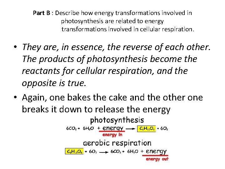 Part B : Describe how energy transformations involved in photosynthesis are related to energy