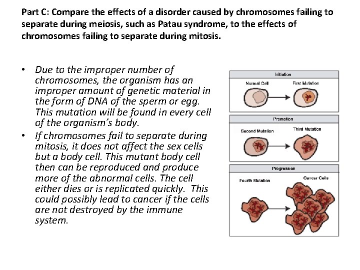 Part C: Compare the effects of a disorder caused by chromosomes failing to separate