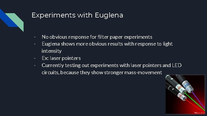 Experiments with Euglena - No obvious response for filter paper experiments Euglena shows more