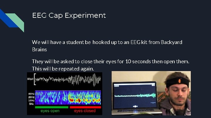 EEG Cap Experiment We will have a student be hooked up to an EEG