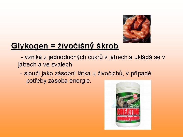 Glykogen = živočišný škrob - vzniká z jednoduchých cukrů v játrech a ukládá se