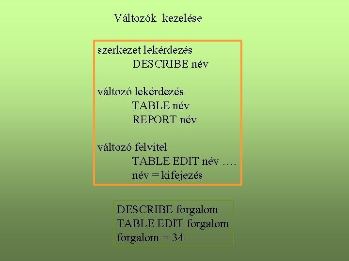 Változók kezelése szerkezet lekérdezés DESCRIBE név változó lekérdezés TABLE név REPORT név változó felvitel