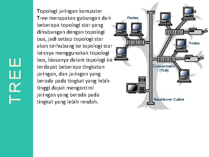 TREE Topologi jaringan komputer Tree merupakan gabungan dari beberapa topologi star yang dihubungan dengan