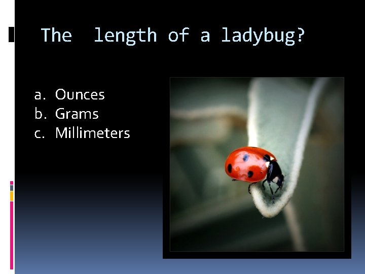 The length of a ladybug? a. Ounces b. Grams c. Millimeters 