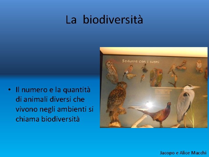 La biodiversità • Il numero e la quantità di animali diversi che vivono negli