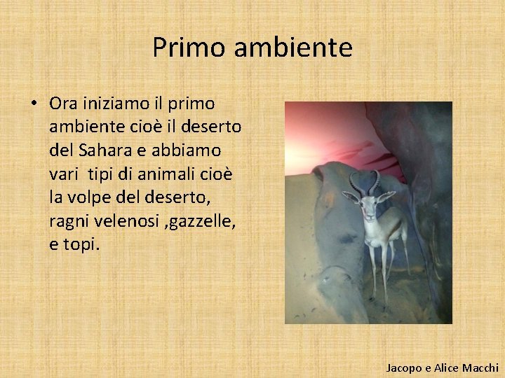 Primo ambiente • Ora iniziamo il primo ambiente cioè il deserto del Sahara e
