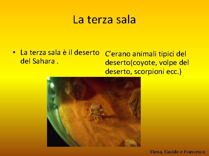 La terza sala • La terza sala è il deserto C’erano animali tipici del