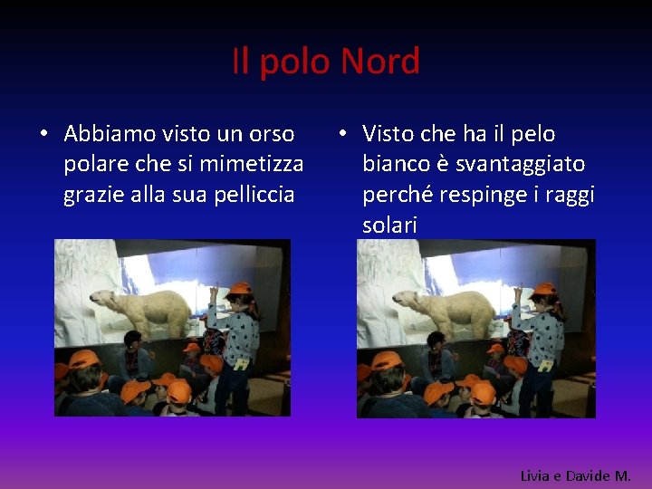 Il polo Nord • Abbiamo visto un orso polare che si mimetizza grazie alla