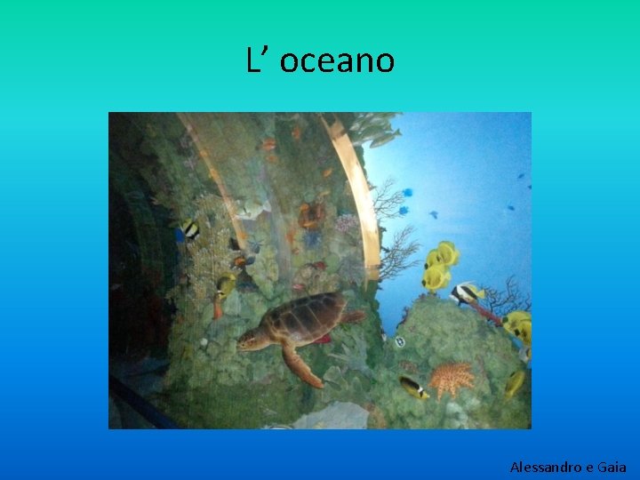 L’ oceano Alessandro e Gaia 