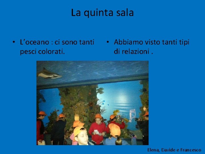 La quinta sala • L’oceano : ci sono tanti pesci colorati. • Abbiamo visto