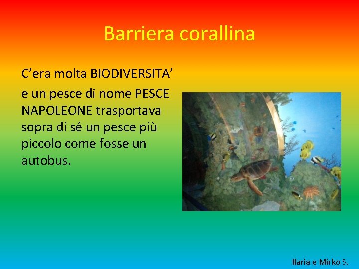 Barriera corallina C’era molta BIODIVERSITA’ e un pesce di nome PESCE NAPOLEONE trasportava sopra