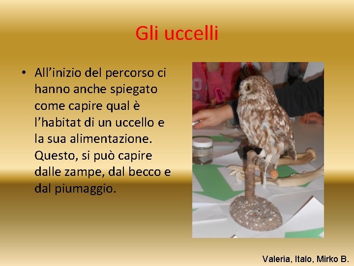 Gli uccelli • All’inizio del percorso ci hanno anche spiegato come capire qual è