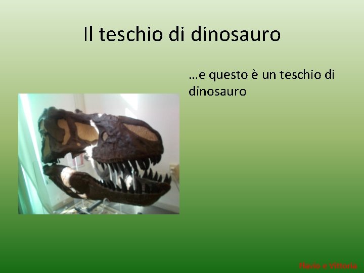 Il teschio di dinosauro …e questo è un teschio di dinosauro Flavio e Vittoria