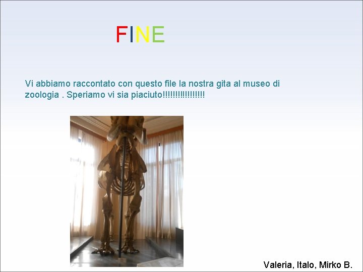 FINE Vi abbiamo raccontato con questo file la nostra gita al museo di zoologia.