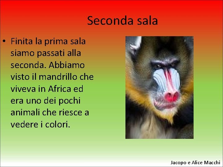 Seconda sala • Finita la prima sala siamo passati alla seconda. Abbiamo visto il