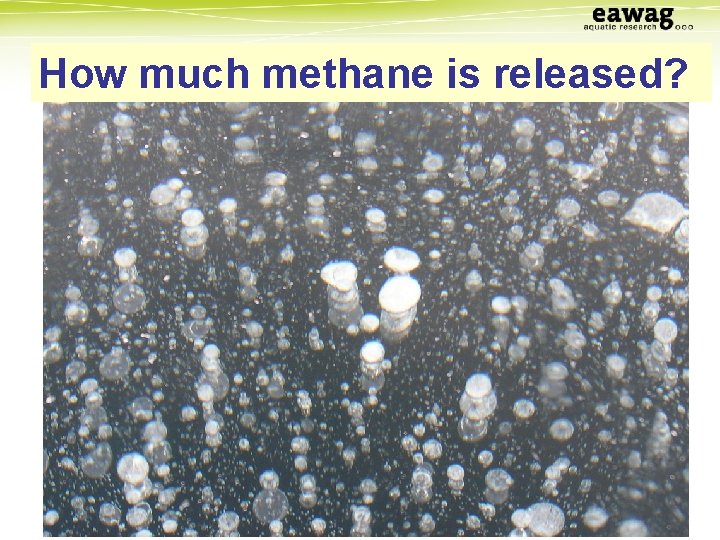 How much methane is released? 