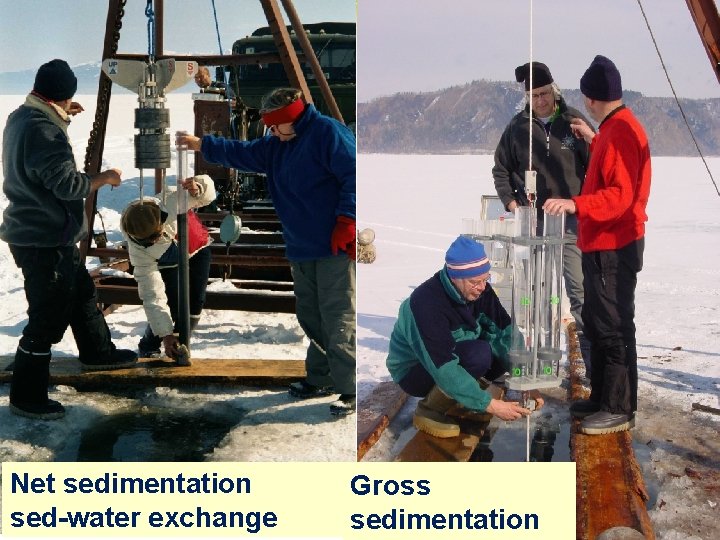 Net sedimentation sed-water exchange Gross sedimentation 