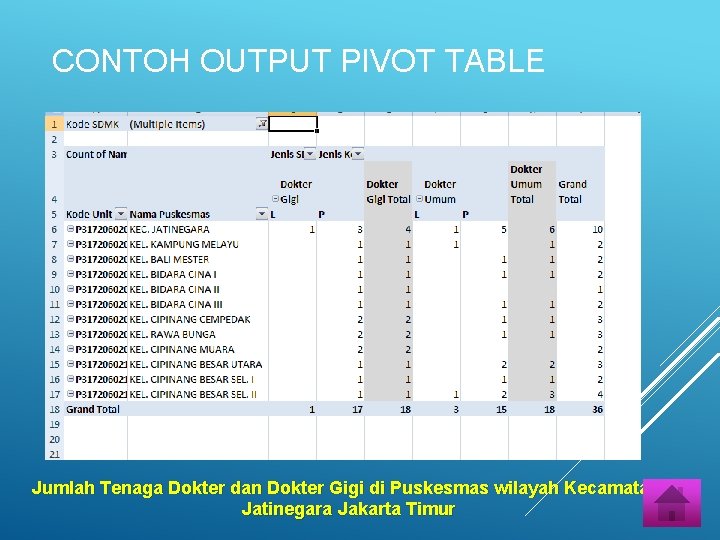 CONTOH OUTPUT PIVOT TABLE Jumlah Tenaga Dokter dan Dokter Gigi di Puskesmas wilayah Kecamatan