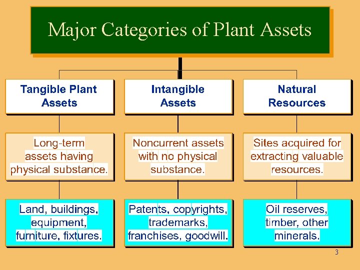 Major Categories of Plant Assets 3 