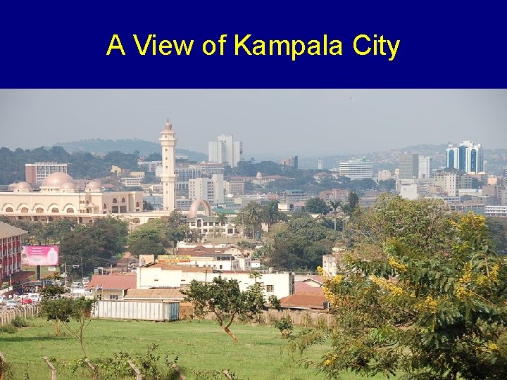 A View of Kampala City 3 