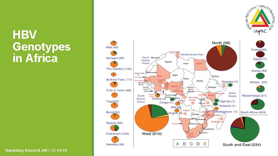 HBV Genotypes in Africa Hepatology Research 2007; 37: S 9 -19 