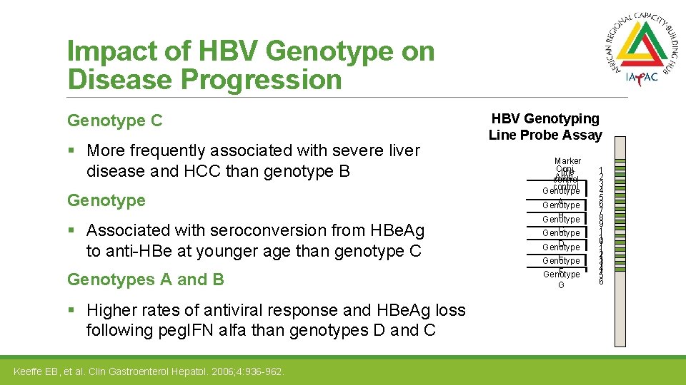 Impact of HBV Genotype on Disease Progression Genotype C § More frequently associated with