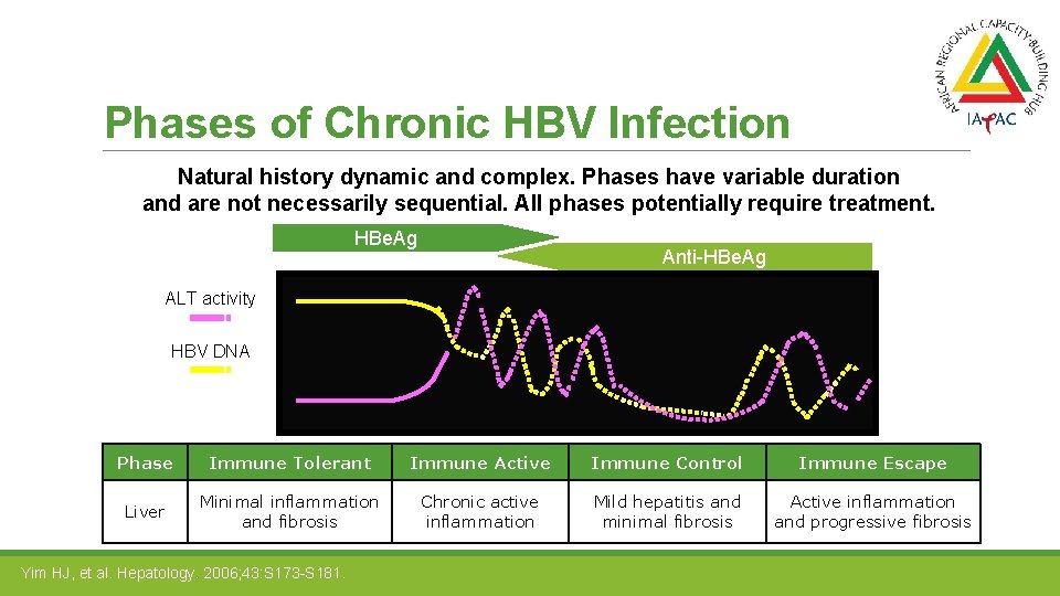 Phases of Chronic HBV Infection Natural history dynamic and complex. Phases have variable duration