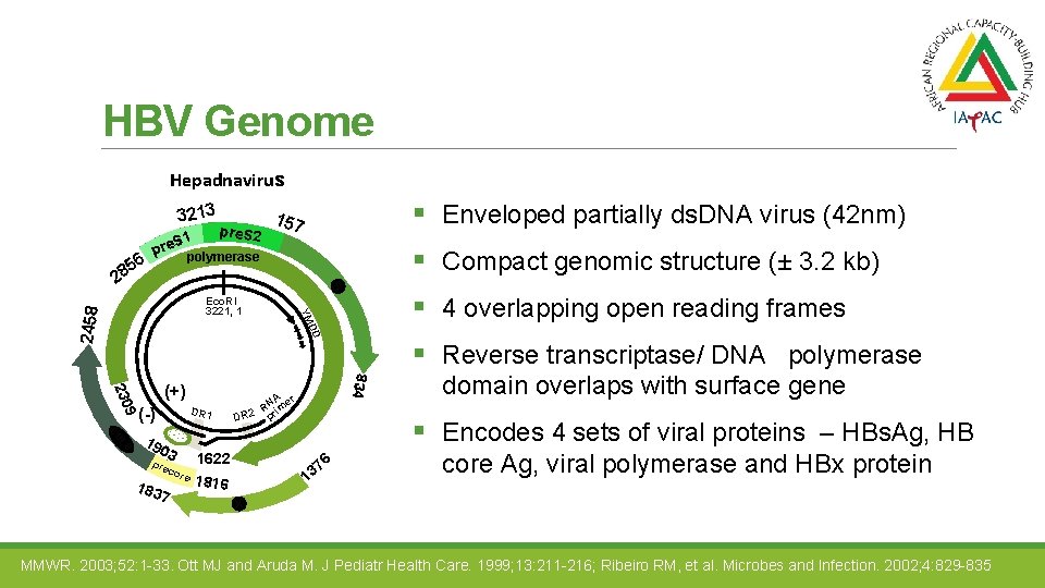 HBV Genome Hepadnavirus 3213 pre. S 2 DD 2458 § 4 overlapping open reading