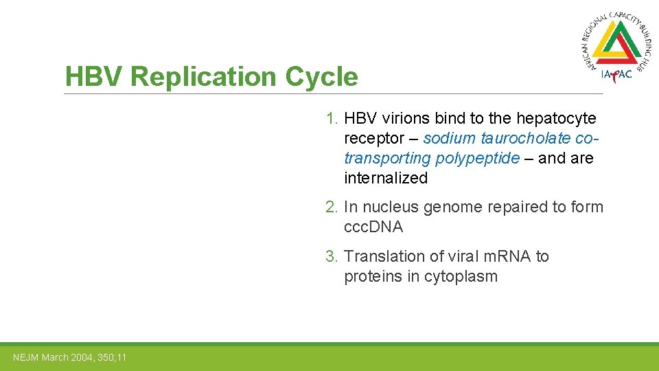 HBV Replication Cycle 1. HBV virions bind to the hepatocyte receptor – sodium taurocholate