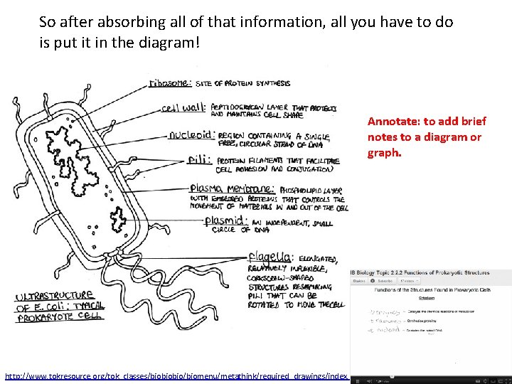 So after absorbing all of that information, all you have to do is put