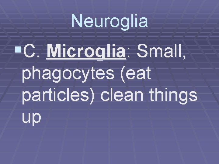 Neuroglia §C. Microglia: Small, phagocytes (eat particles) clean things up 