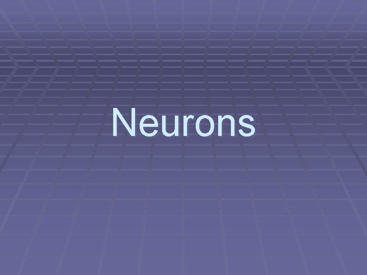 Neurons 