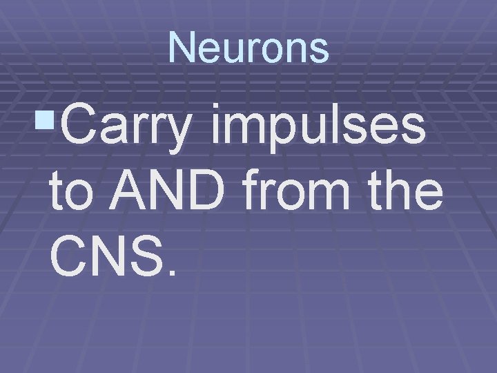 Neurons §Carry impulses to AND from the CNS. 
