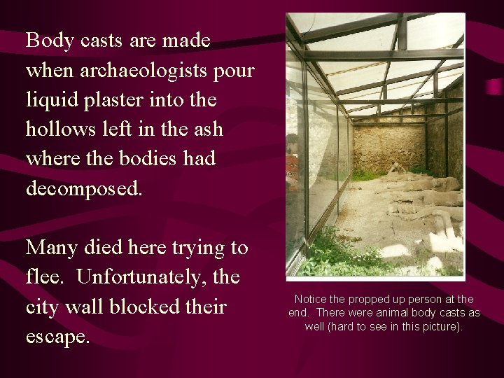 Body casts are made when archaeologists pour liquid plaster into the hollows left in