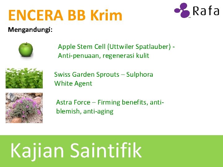 ENCERA BB Krim Mengandungi: Apple Stem Cell (Uttwiler Spatlauber) Anti-penuaan, regenerasi kulit Swiss Garden