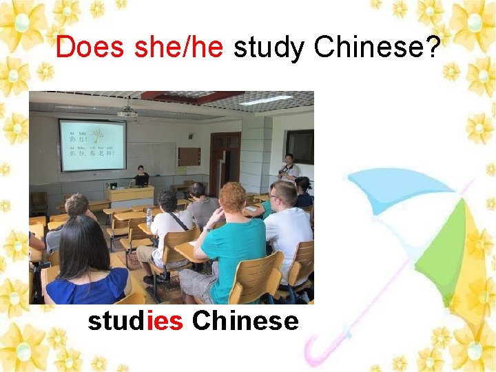 Does she/he study Chinese? studies Chinese 