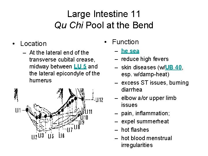 Large Intestine 11 Qu Chi Pool at the Bend • Location – At the