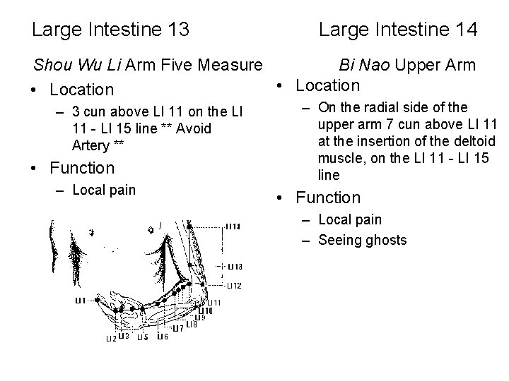 Large Intestine 13 Large Intestine 14 Shou Wu Li Arm Five Measure Bi Nao