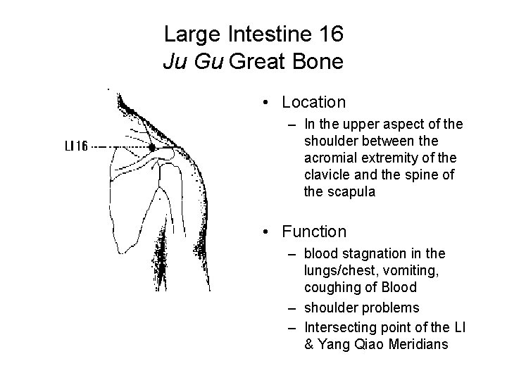 Large Intestine 16 Ju Gu Great Bone • Location – In the upper aspect