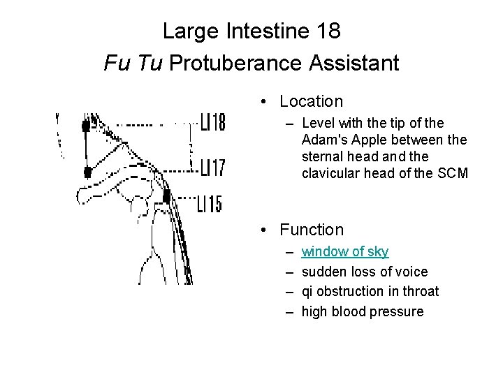 Large Intestine 18 Fu Tu Protuberance Assistant • Location – Level with the tip