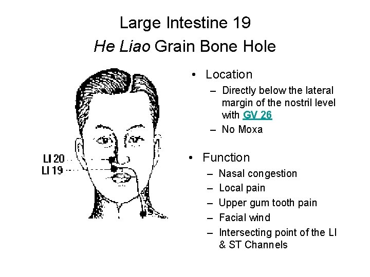 Large Intestine 19 He Liao Grain Bone Hole • Location – Directly below the
