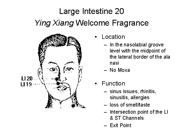 Large Intestine 20 Ying Xiang Welcome Fragrance • Location – In the nasolabial groove