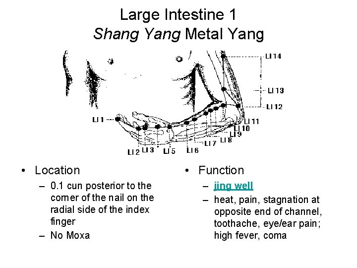 Large Intestine 1 Shang Yang Metal Yang • Location – 0. 1 cun posterior