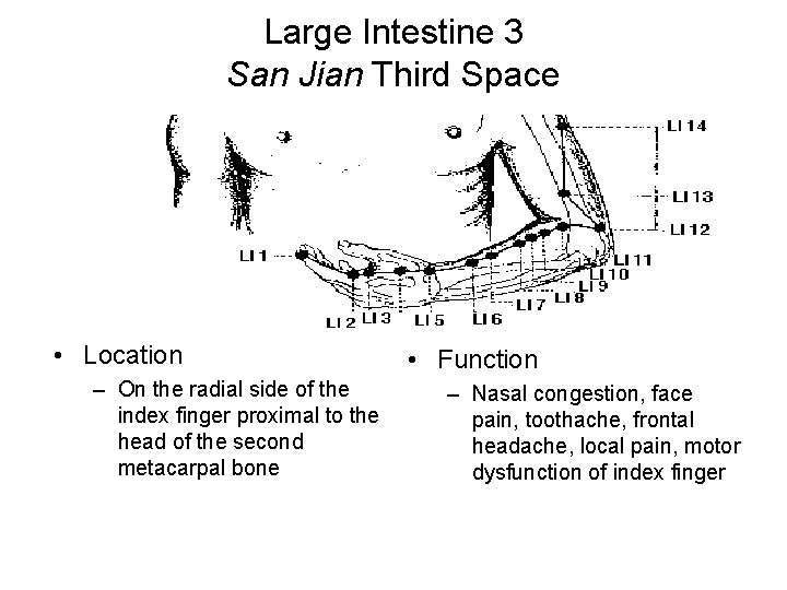 Large Intestine 3 San Jian Third Space • Location – On the radial side