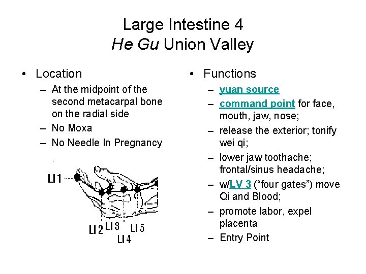 Large Intestine 4 He Gu Union Valley • Location – At the midpoint of