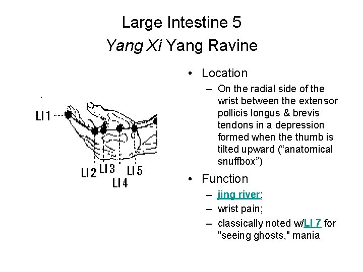 Large Intestine 5 Yang Xi Yang Ravine • Location – On the radial side